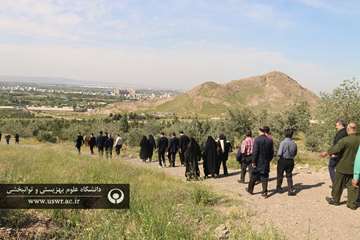 همایش پیاده روی در مرکز آموزشی - درمانی رازی